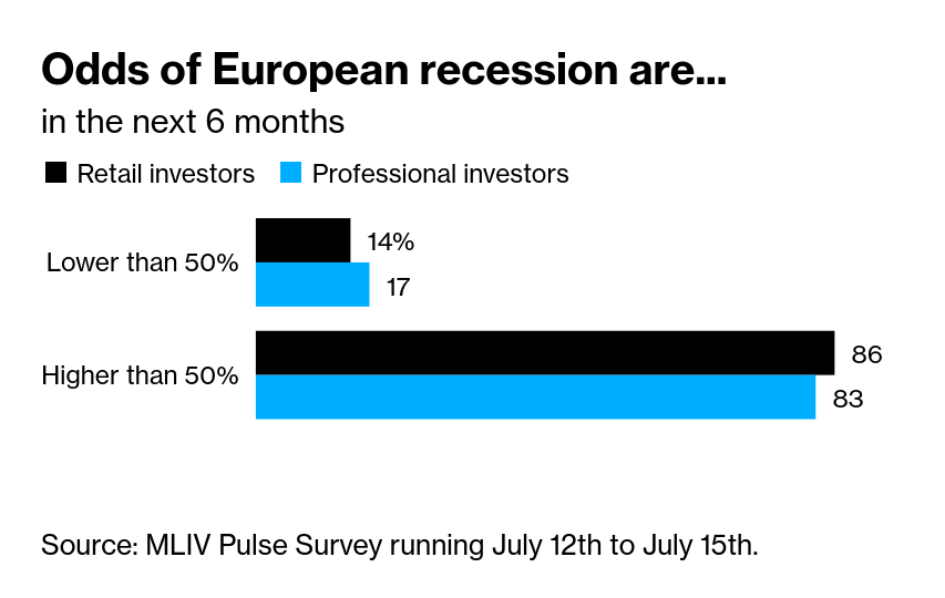 /brief/img/Screenshot 2022-07-18 at 08-41-39 Investors Bet Euro Will Continue Slide to $0.9 Survey Finds.png